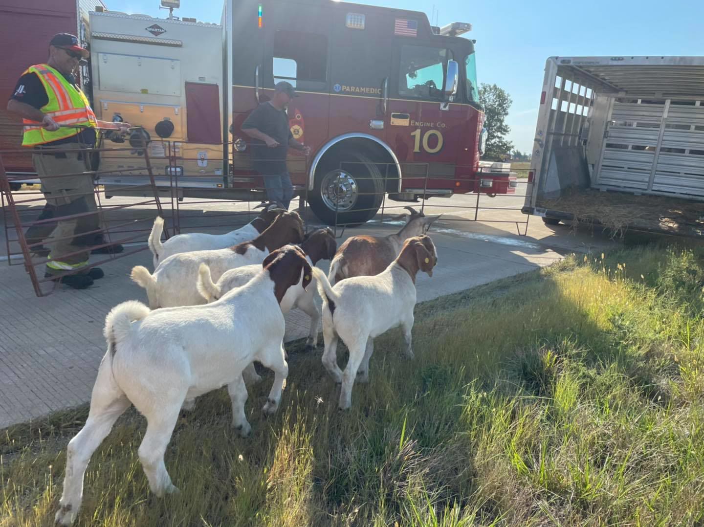092021-blm-loc-1goats